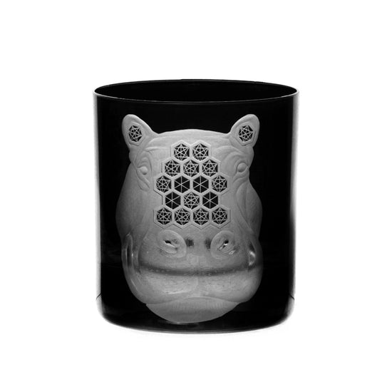 African Safari Hippopotamus