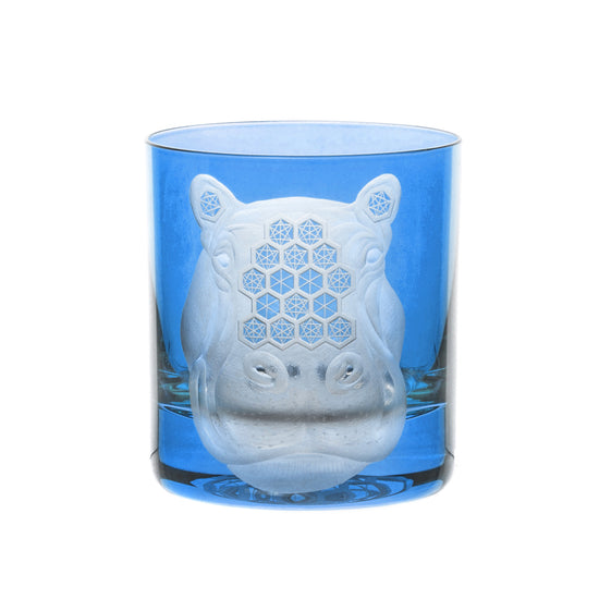 African Safari Hippopotamus