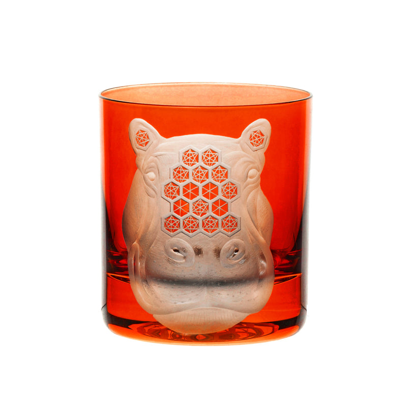 African Safari Hippopotamus