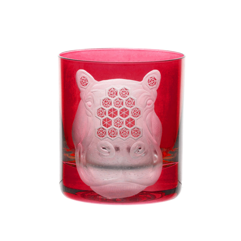 African Safari Hippopotamus