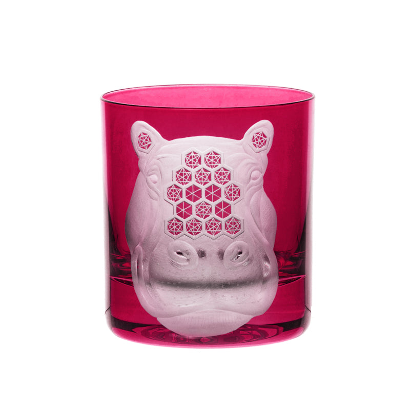 African Safari Hippopotamus