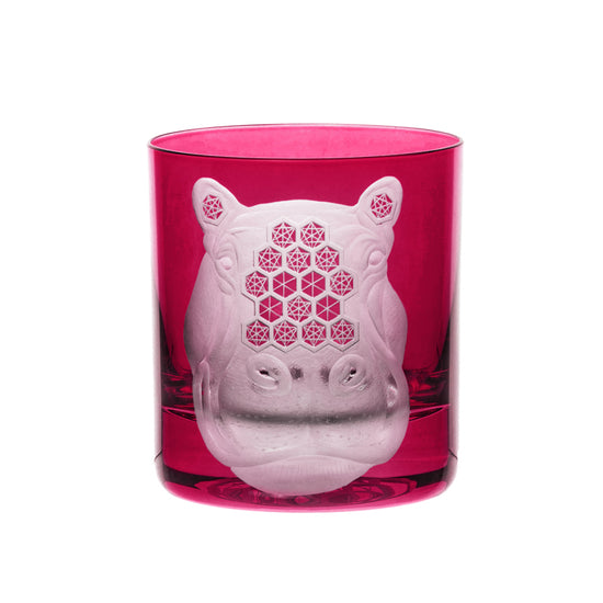 African Safari Hippopotamus