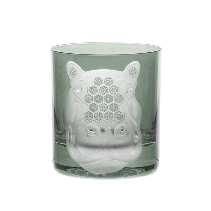 African Safari Hippopotamus