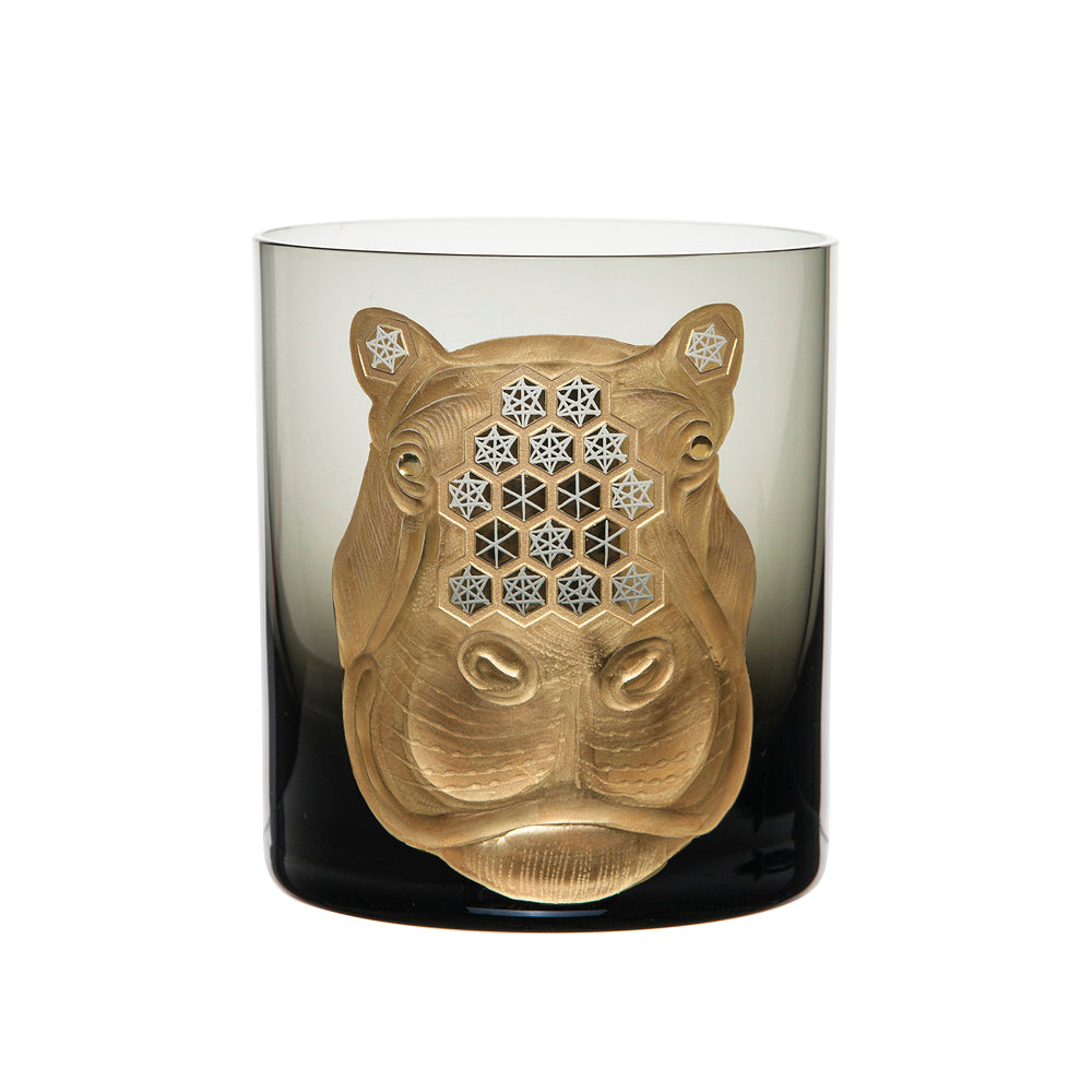 African Safari Hippopotamus