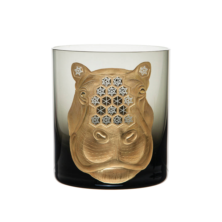 African Safari Hippopotamus