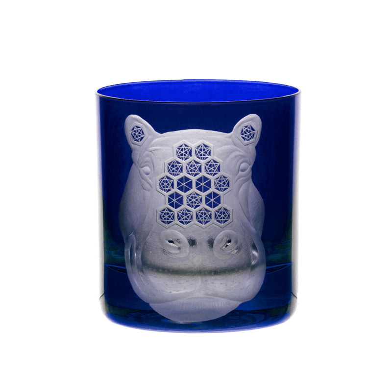 African Safari Hippopotamus