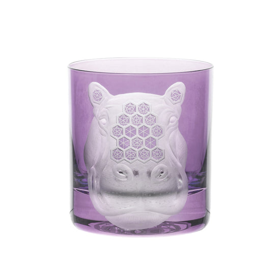 African Safari Hippopotamus