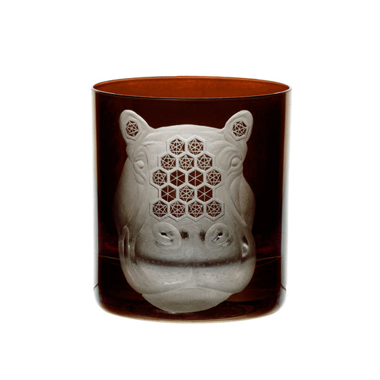 African Safari Hippopotamus