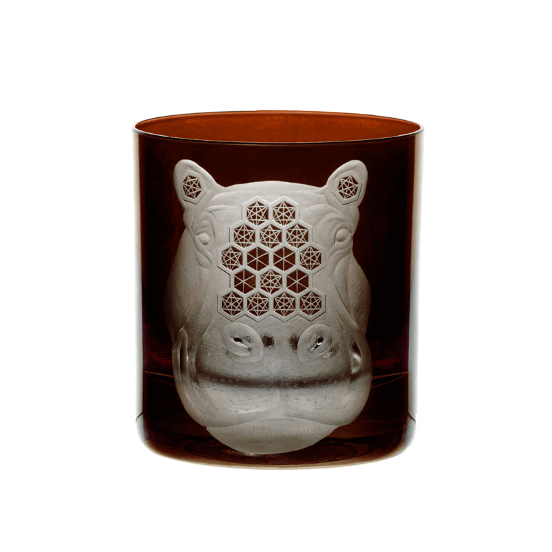 African Safari Hippopotamus