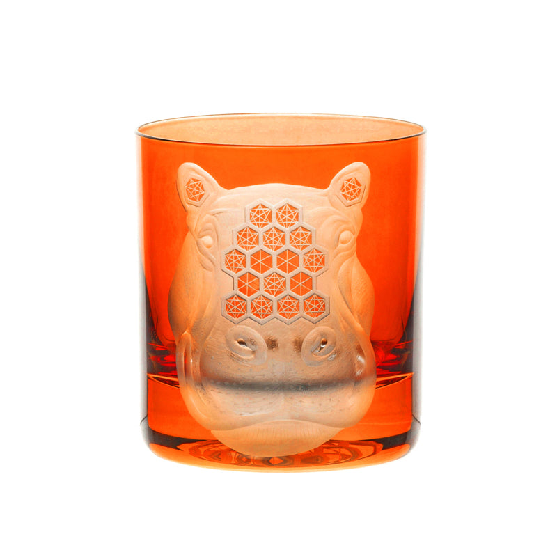 African Safari Hippopotamus