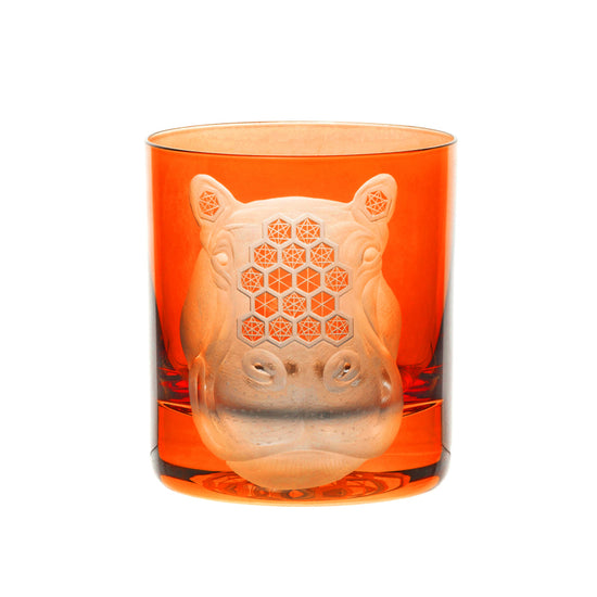 African Safari Hippopotamus