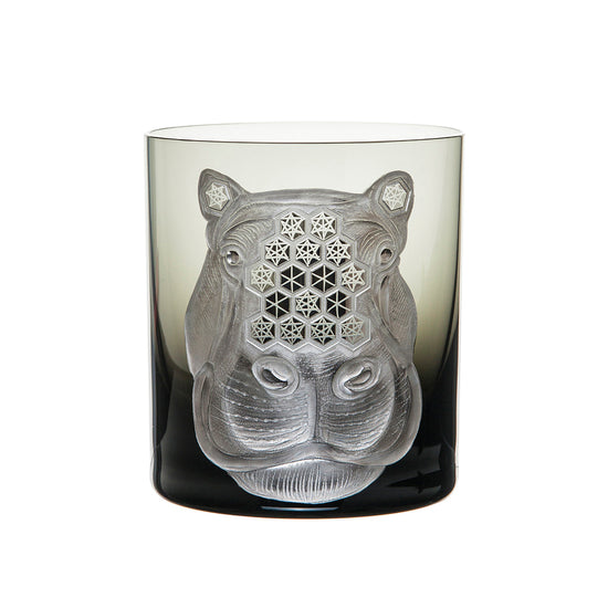 African Safari Hippopotamus