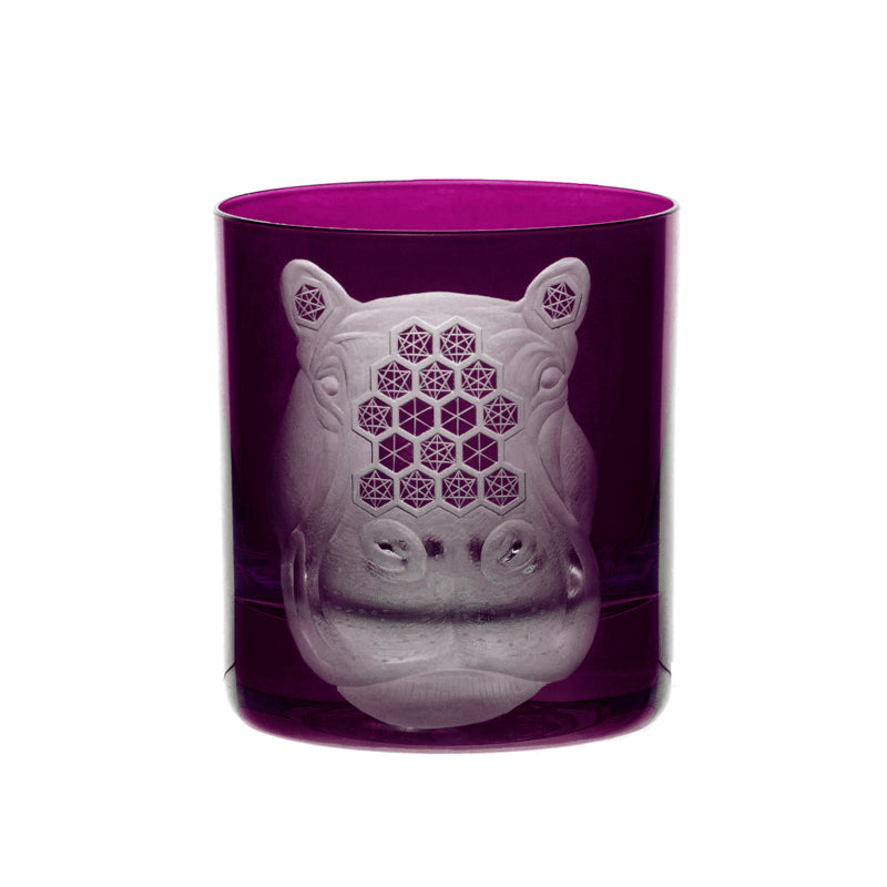 African Safari Hippopotamus