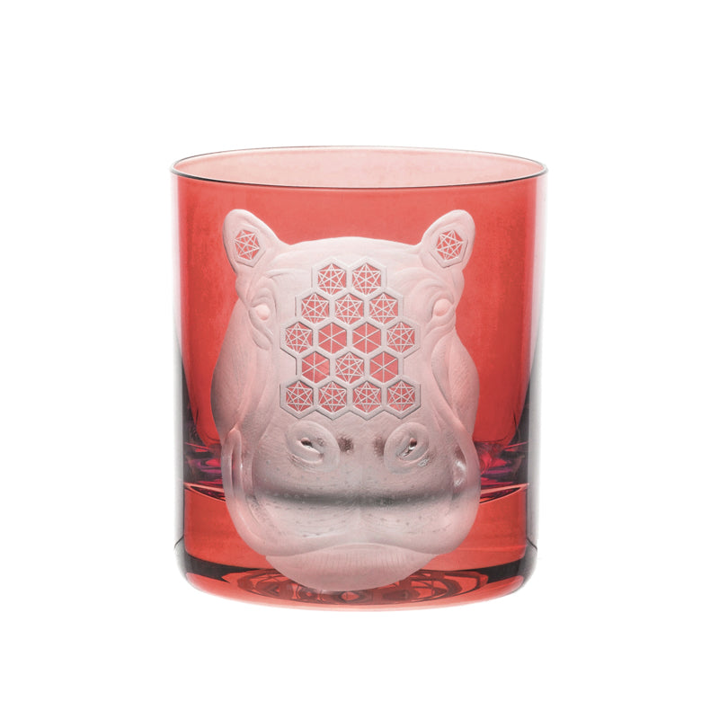 African Safari Hippopotamus