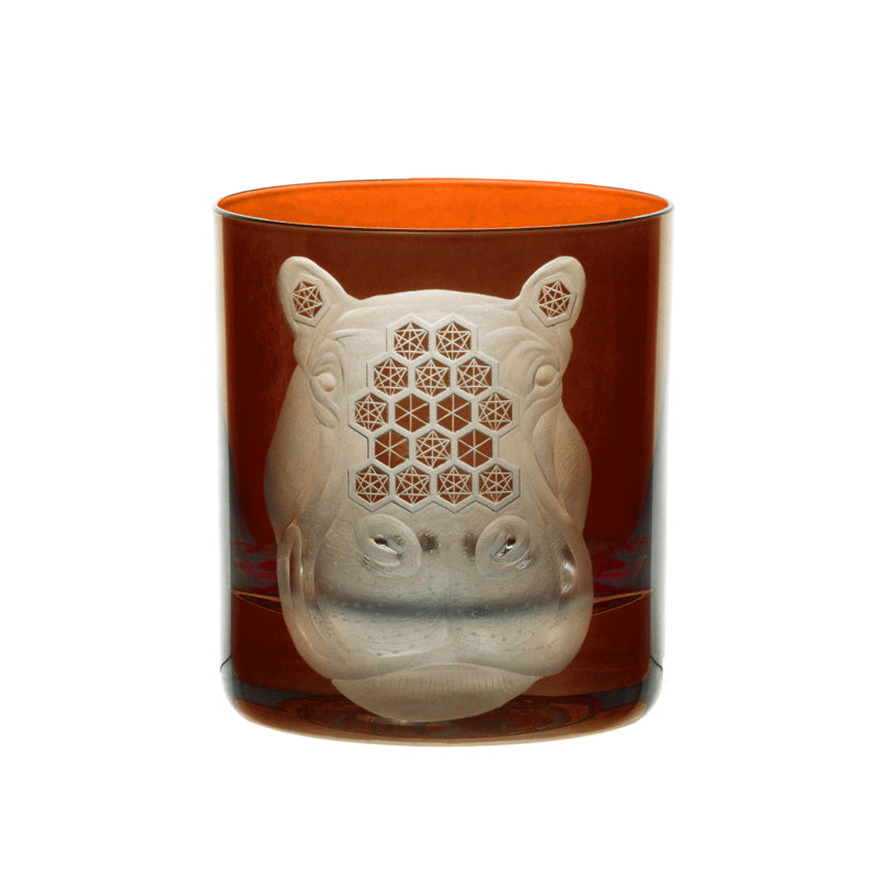 African Safari Hippopotamus