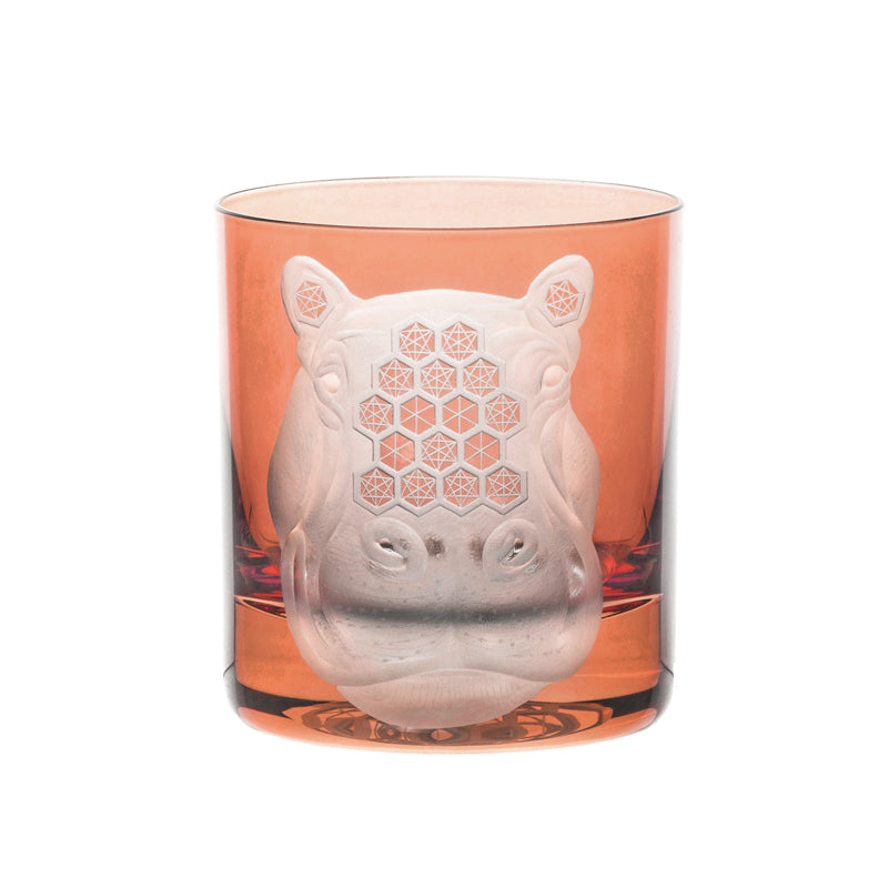 African Safari Hippopotamus