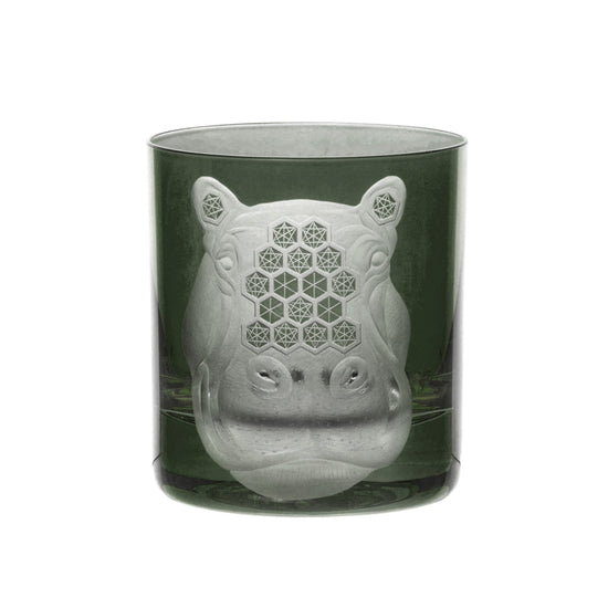 African Safari Hippopotamus