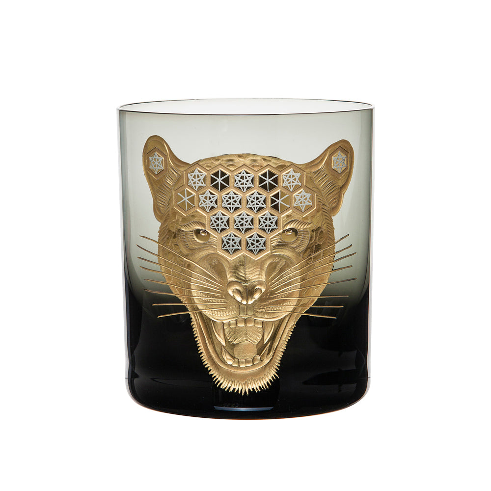 African Safari Jaguar