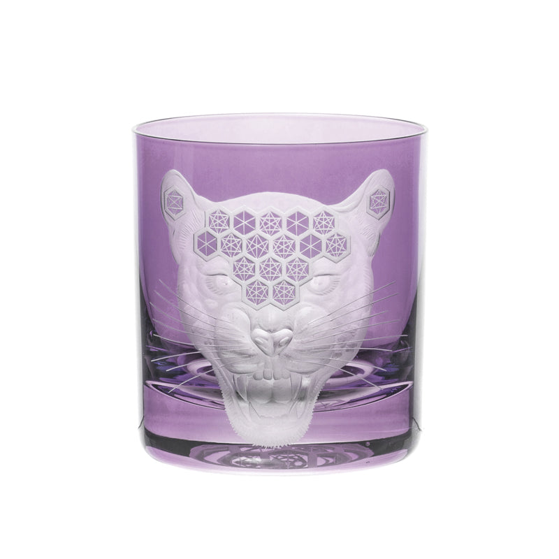 African Safari Jaguar