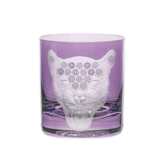 African Safari Jaguar