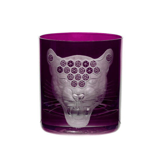 African Safari Jaguar