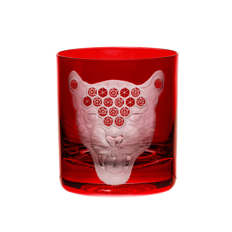 African Safari Jaguar