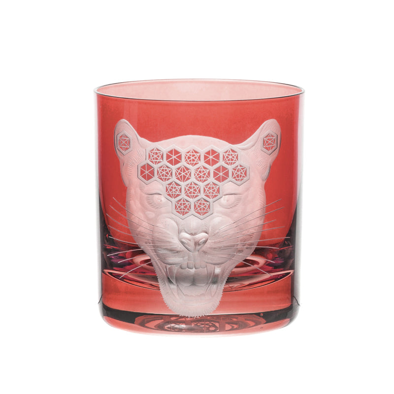 African Safari Jaguar