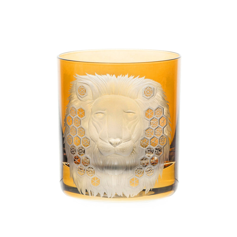 African Safari Lion