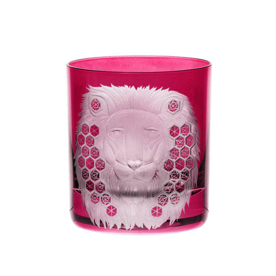 African Safari Lion