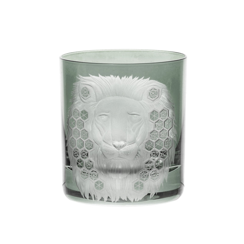 African Safari Lion