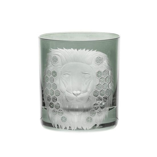 African Safari Lion