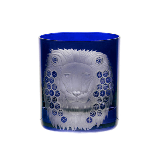 African Safari Lion