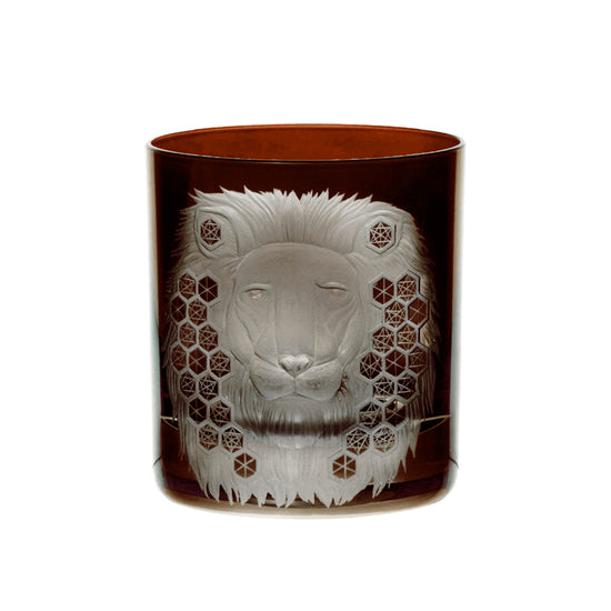African Safari Lion