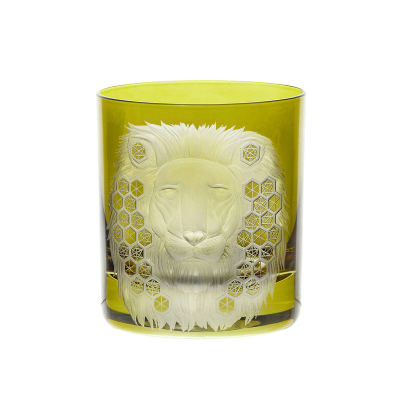 African Safari Lion