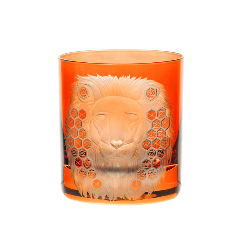 African Safari Lion