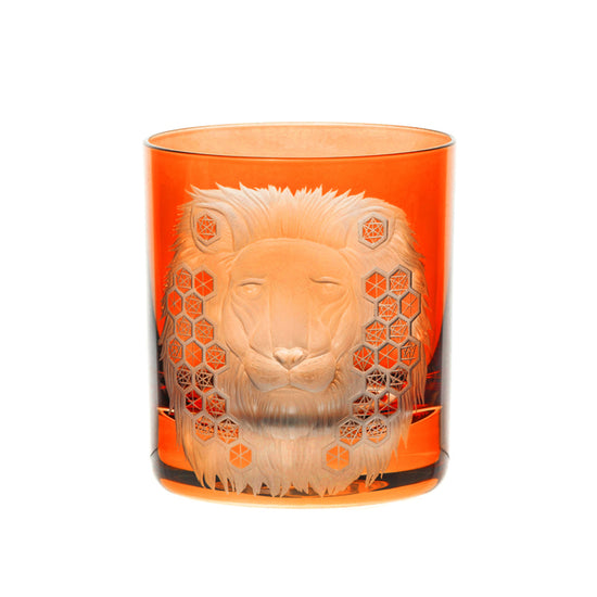African Safari Lion
