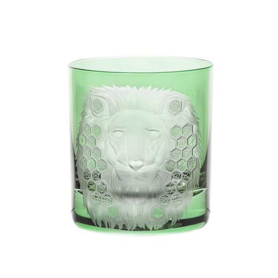 African Safari Lion