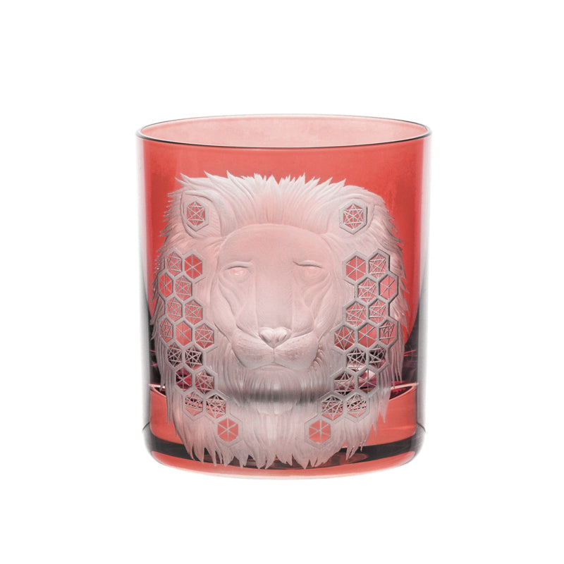 African Safari Lion