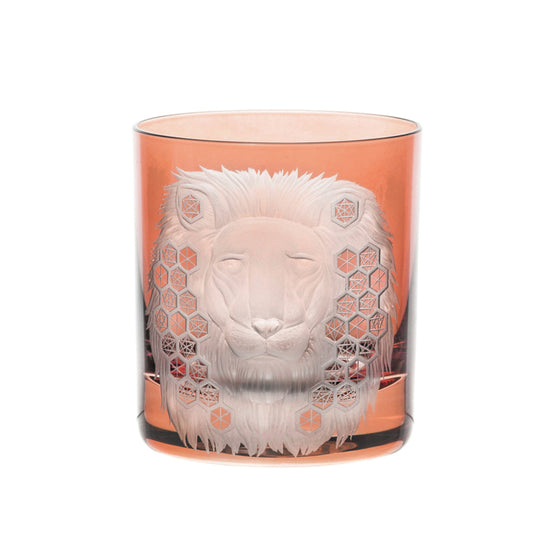 African Safari Lion