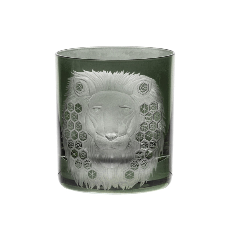 African Safari Lion