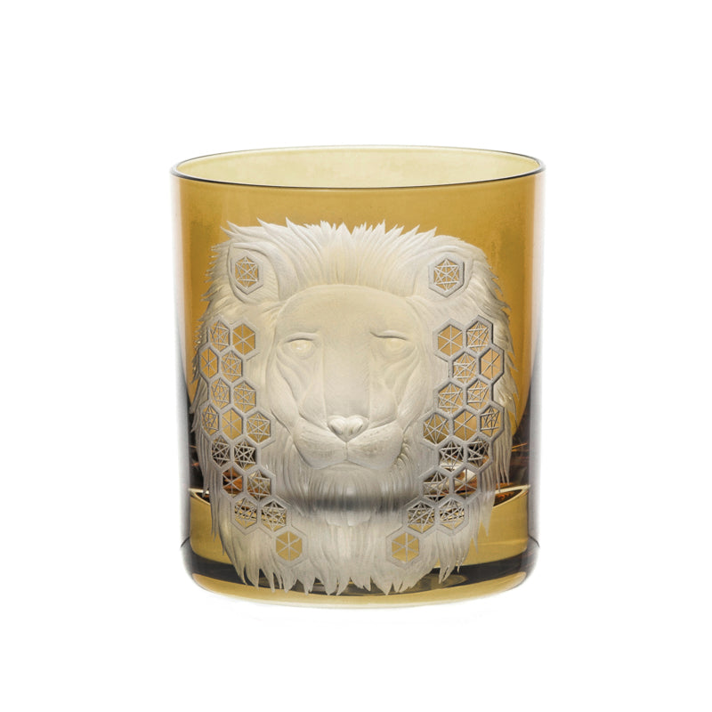 African Safari Lion