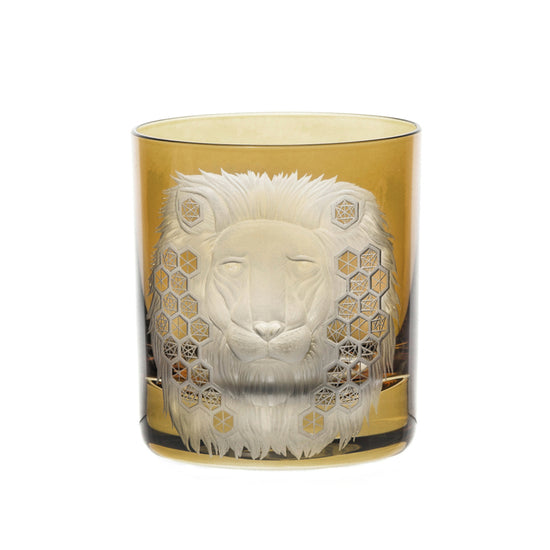 African Safari Lion