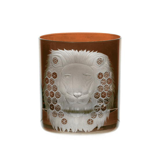 African Safari Lion