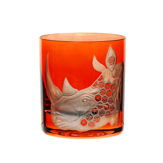 African Safari Rhinoceros