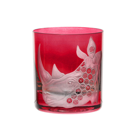 African Safari Rhinoceros