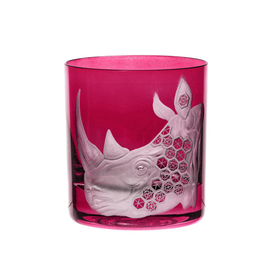 African Safari Rhinoceros