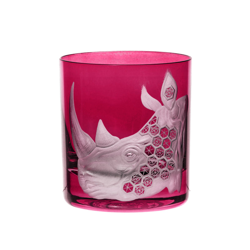 African Safari Rhinoceros