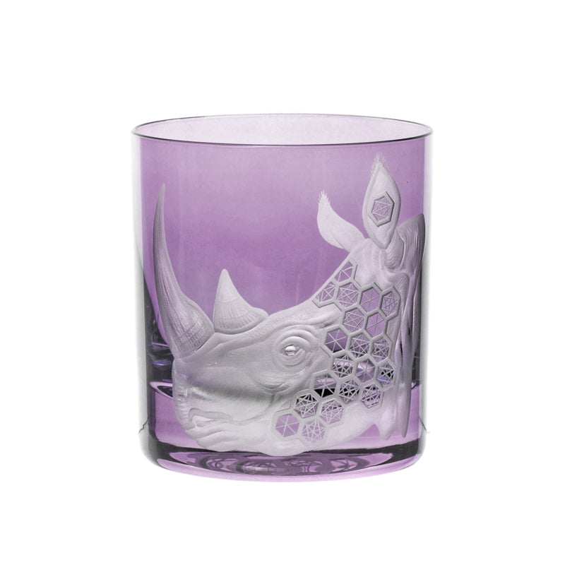 African Safari Rhinoceros