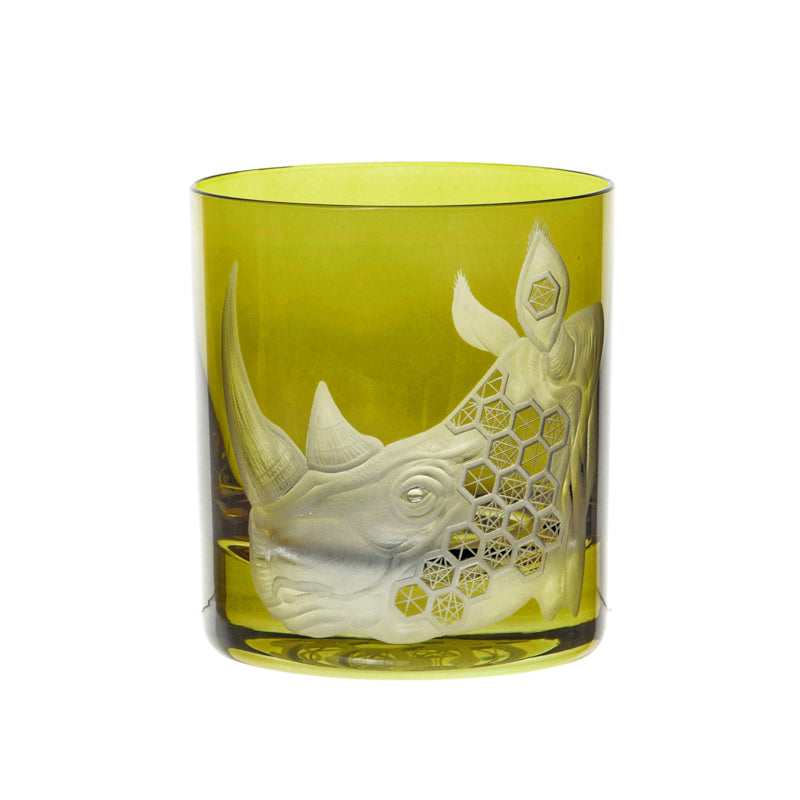 African Safari Rhinoceros