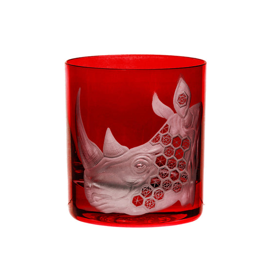 African Safari Rhinoceros